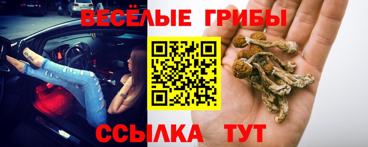 Псилоцибиновые грибы GOLDEN TEACHER  Вход с VPN  Ачинск 